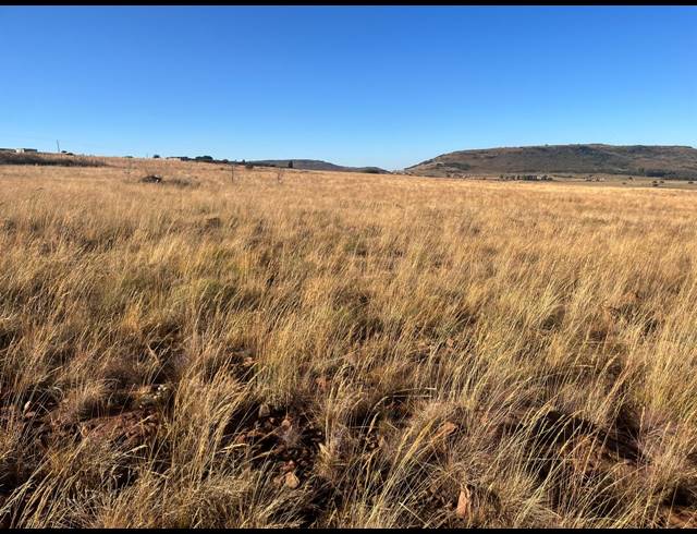 10,320M² VACANT LAND FOR SALE IN WALKERVILLE MANOR